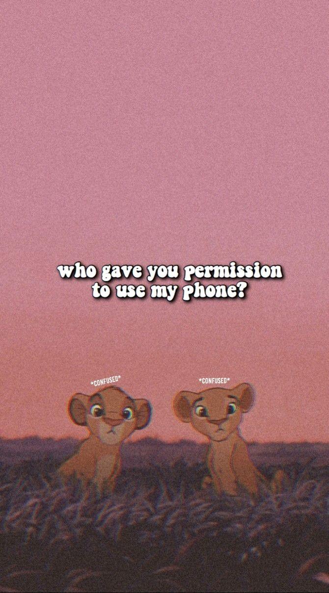 ���� ���� ������ �� ���� ������