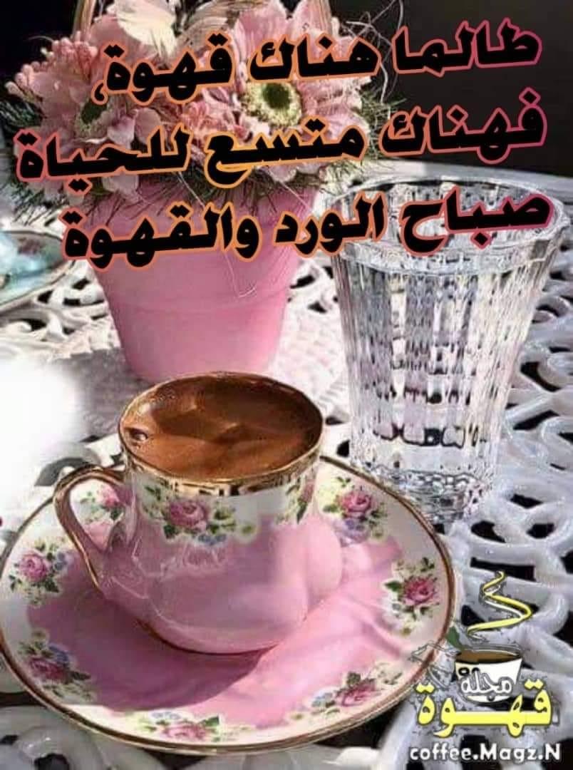 ���� ���� ������ �� ���� ������