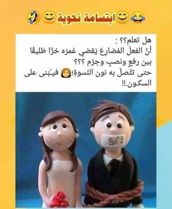 ���� ���� ������ �� ���� ������