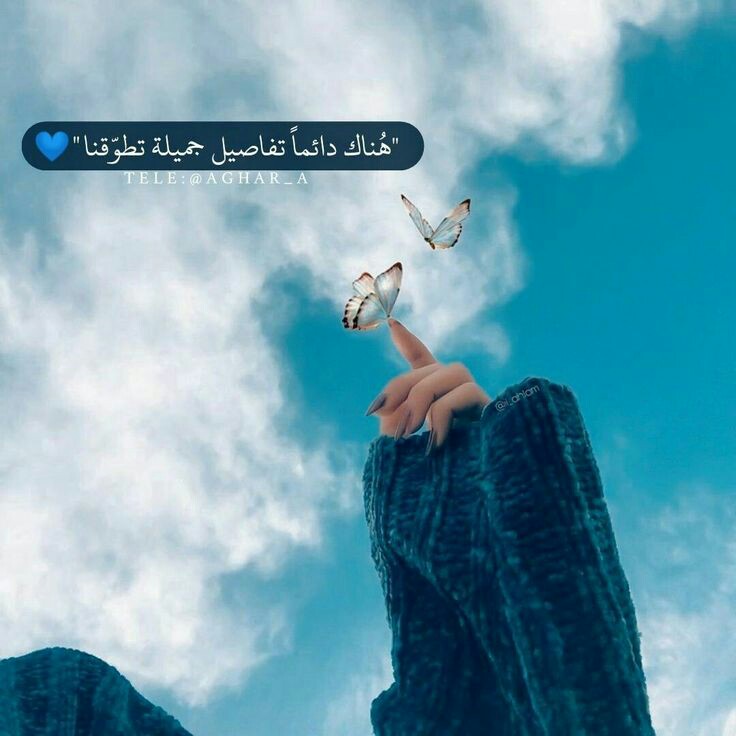 ���� ���� ������ �� ���� ������