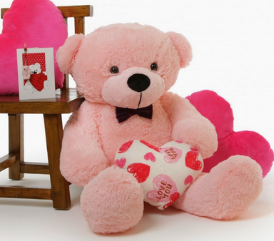 ���� ���� ������ �� ���� ������