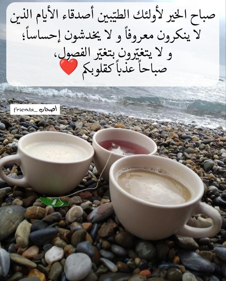 ���� ���� ������ �� ���� ������