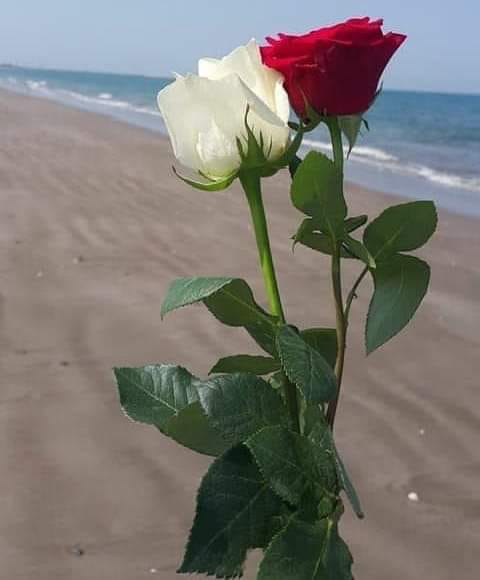 ���� ���� ������ �� ���� ������