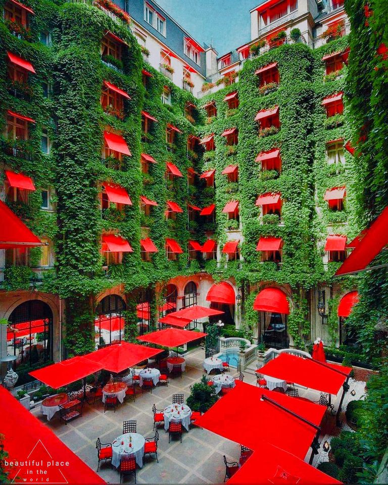 ���� ���� ������ �� ���� ������