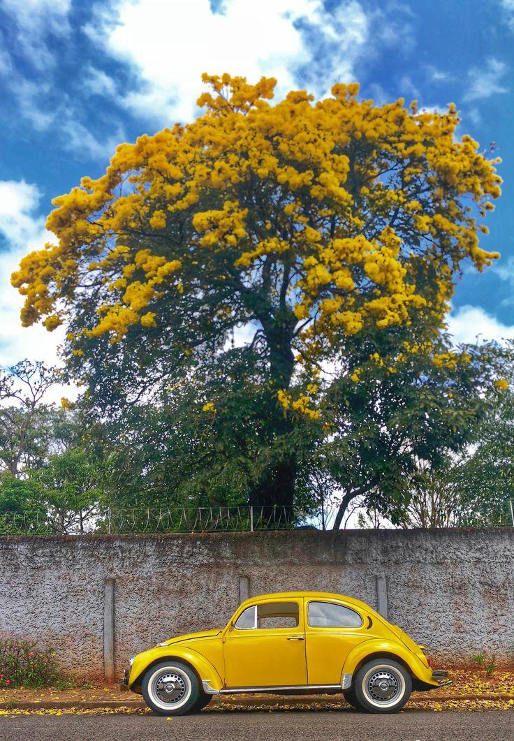 ���� ���� ������ �� ���� ������