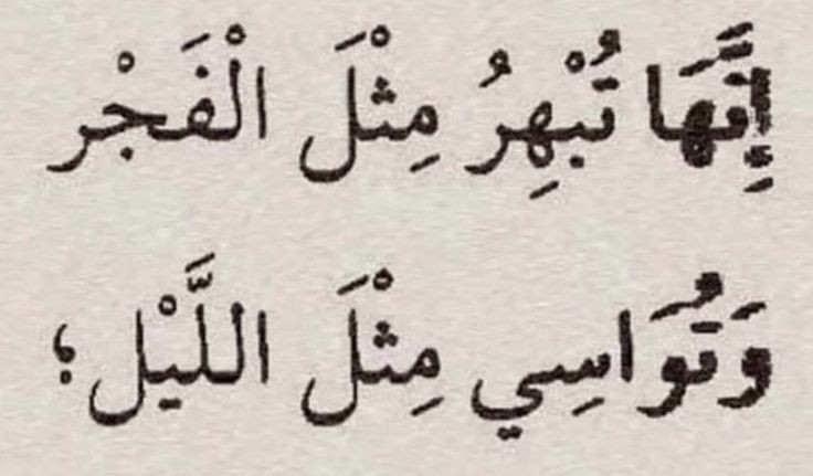 ���� ���� ������ �� ���� ������