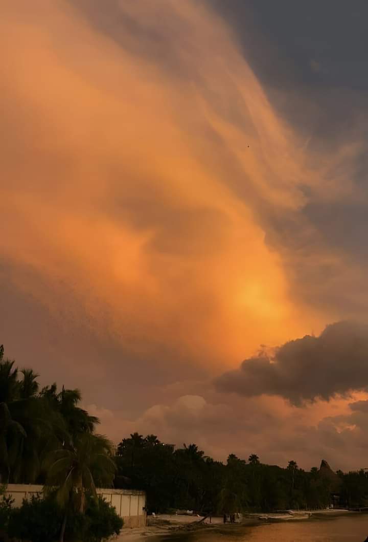 ���� ���� ������ �� ���� ������