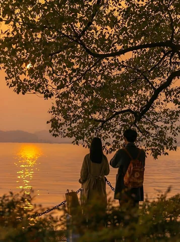 ���� ���� ������ �� ���� ������