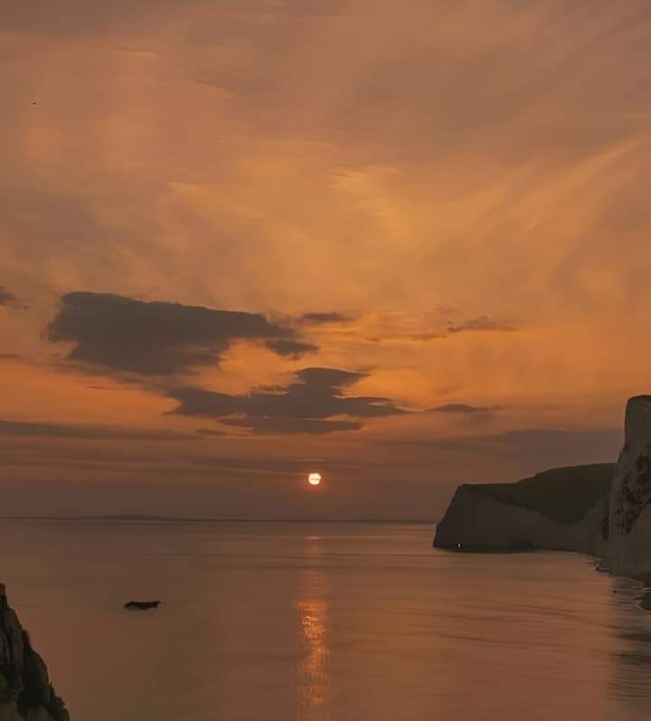 ���� ���� ������ �� ���� ������